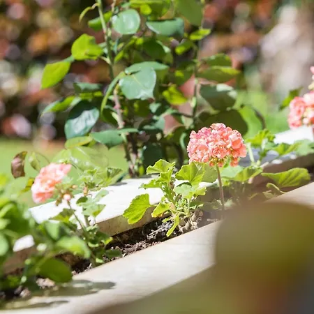 Kazalac Oasis Lejlighed