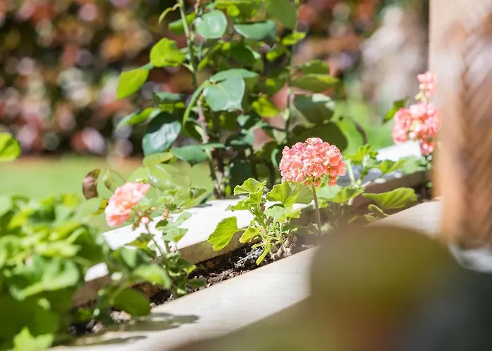 Kazalac Oasis Lejlighed